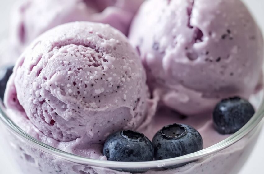 Quick & Easy Blueberry Greek Frozen Yogurt